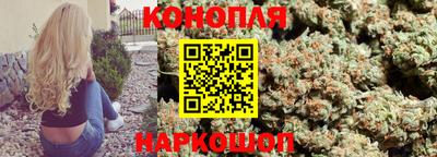 гидра Кинель