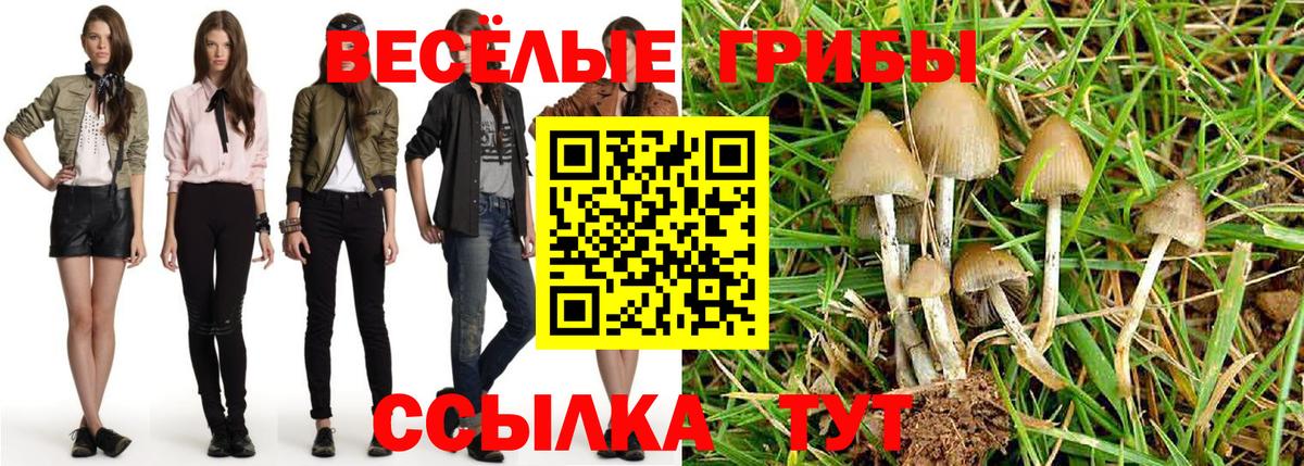 Коряжма  Галлюциногенные грибы GOLDEN TEACHER  как найти   Вход с VPN 