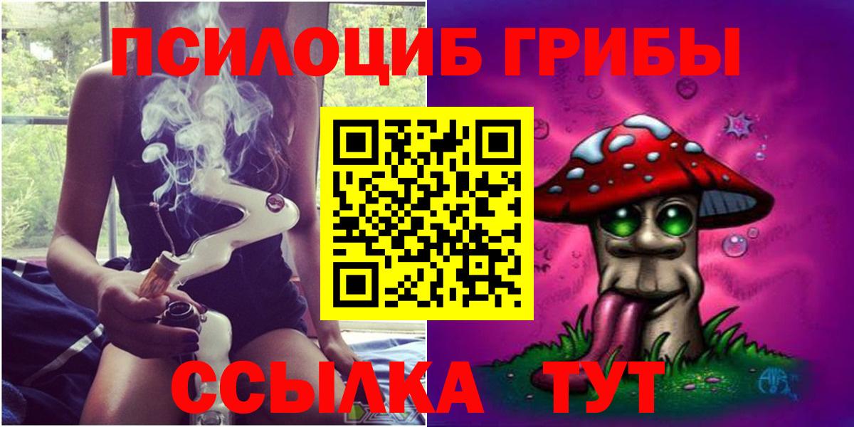 Псилоцибиновые грибы Cubensis Коряжма